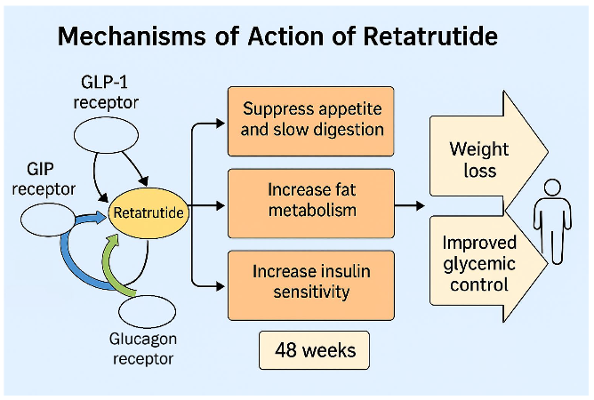 Retatrutide Mechanism of action